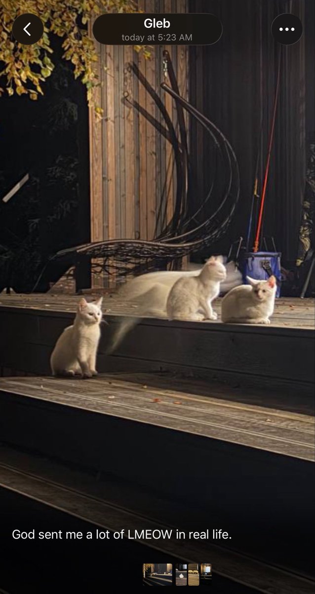 lmeowcoineth tweet picture