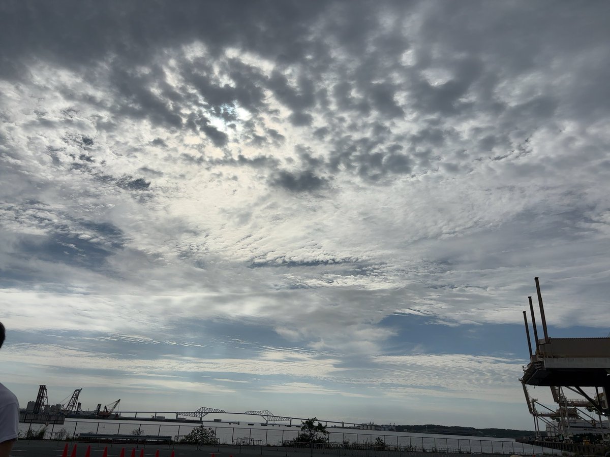 d4nmak's tweet photo. あってるのか不安すぎる https://t.co/dsdeB5pG7v