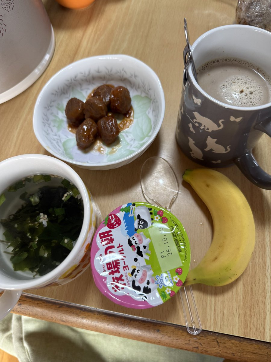 blacksunglass's tweet photo. 朝いただきます🥱
 #響のご飯 https://t.co/FdJcdvaDSz