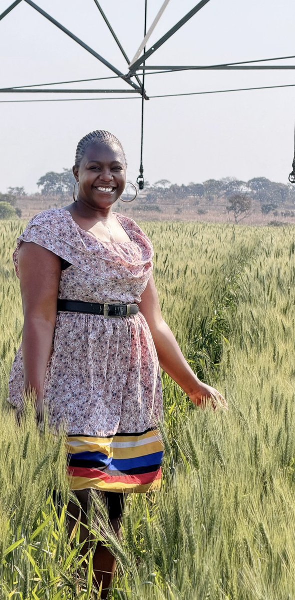 agribusiness211's tweet photo. When the late 🌾🌾🌾establishment exceeds your expectations and experience 🙏🙏🙏 https://t.co/6IDSgBEcd4