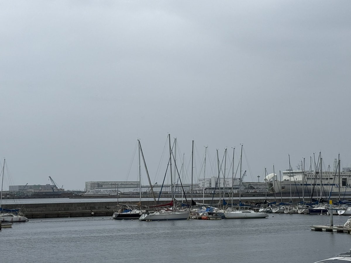 oceanmarine00's tweet photo. おはようございます！
本日の泉大津市は昨日と変わって雨が降っています。
風も少し吹いています。
いやな天気ですが、頑張っていきましょう！！
＃イマソラ　＃泉大津市
＃企業公式が地元の天気を言い合う
 #イワシの日
 #世界動物の日 https://t.co/Jo1cUoD2WJ