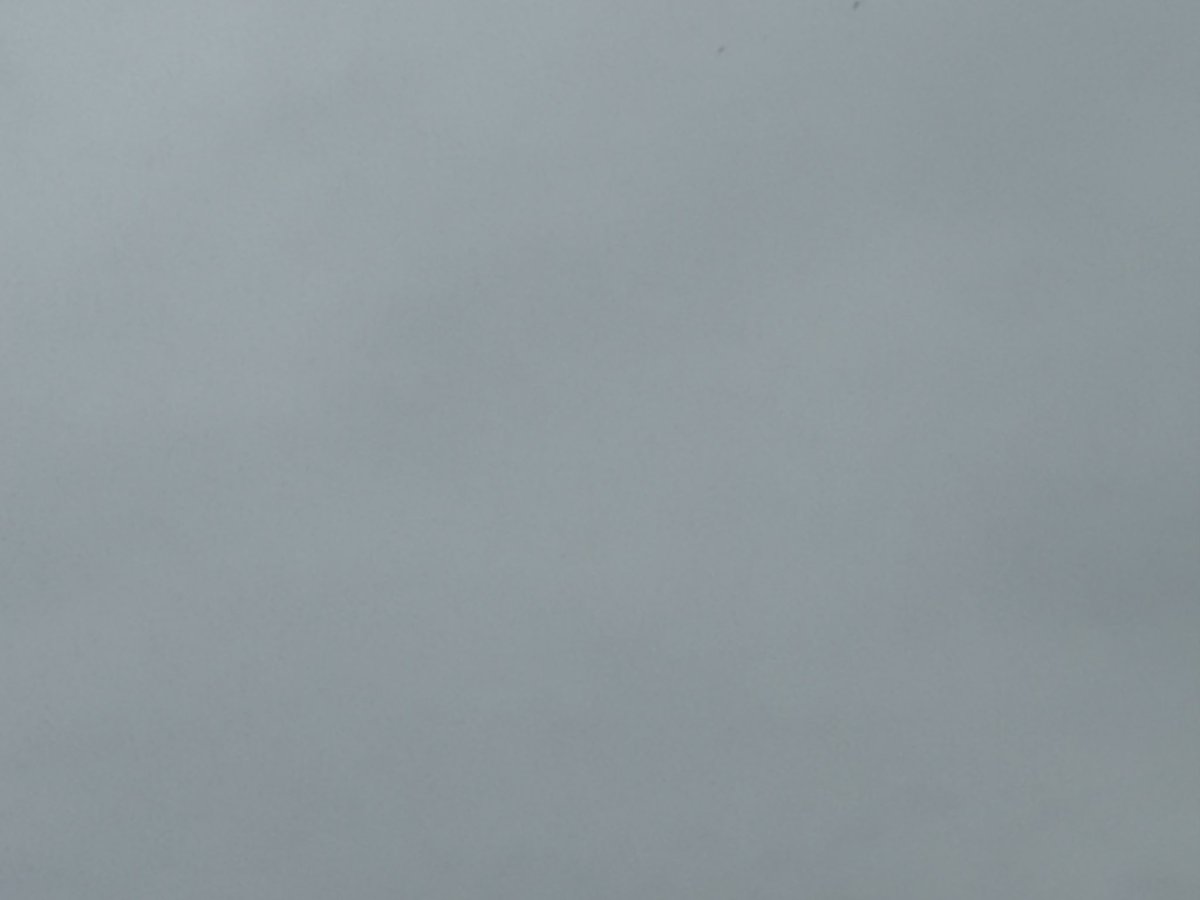 oceanmarine00's tweet photo. おはようございます！
本日の泉大津市は昨日と変わって雨が降っています。
風も少し吹いています。
いやな天気ですが、頑張っていきましょう！！
＃イマソラ　＃泉大津市
＃企業公式が地元の天気を言い合う
 #イワシの日
 #世界動物の日 https://t.co/Jo1cUoD2WJ