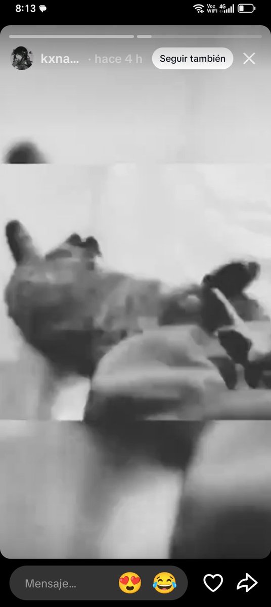 cookiekings1x3's tweet photo. ⚠️🐾 Hola, quisiera exponer esta cuenta que mata gatos o apoya a los que lo hacen. Vengo a hacerlo con el fin de que reporten la cuenta y tengan conciencia de que esto no está bien, ya que puede que esta persona lo haga por aprobación, viralización o incluso por diversión- https://t.co/fyKIdDBoH4