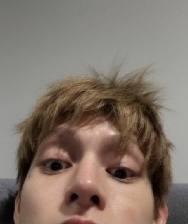 jamesapplejuice's tweet photo. peek-a-boo in three different styles https://t.co/IY6hXn6tWj