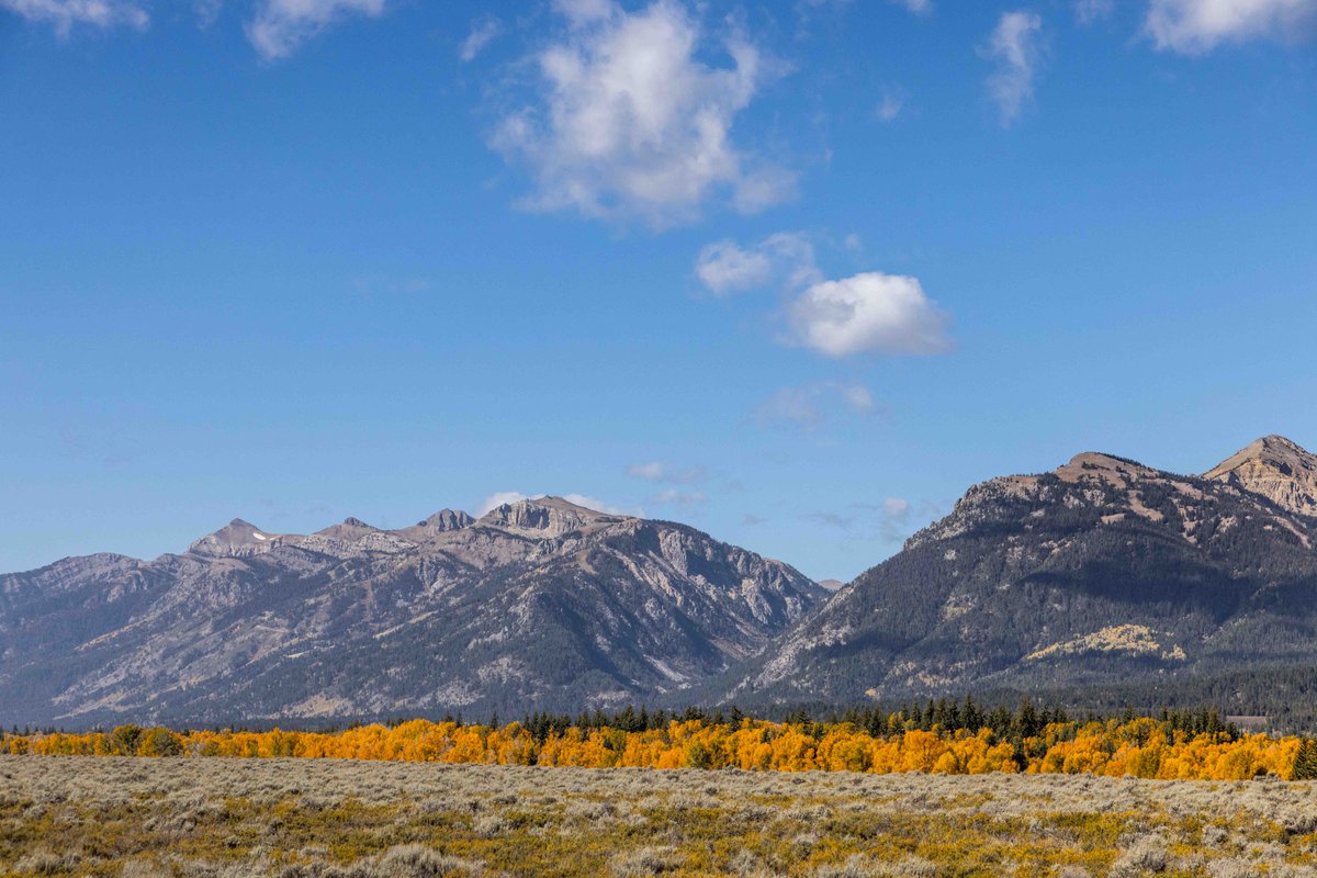 jhski's tweet photo. Fall has arrived in the Tetons. Animals and humans alike have started to prepare for winter.

Mountain Access Updates:
👀 Bridger Gondola Re-Opening Oct. 5-11
🧗 Via Ferrata extension through Oct. 11
🚠 Aerial Tram Closing Day, Sunday, Oct. 4 https://t.co/s8ksBjry6n