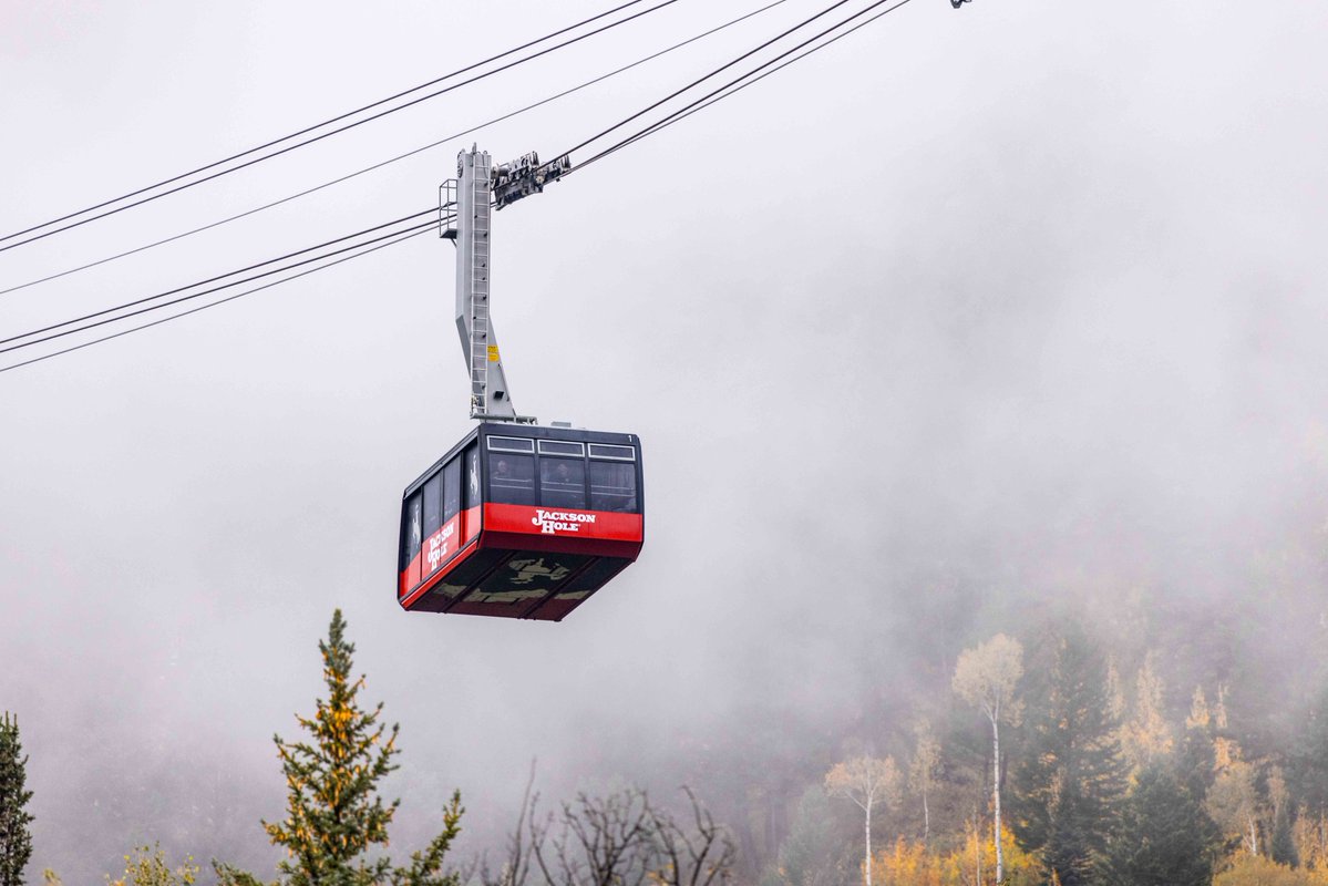 jhski's tweet photo. Fall has arrived in the Tetons. Animals and humans alike have started to prepare for winter.

Mountain Access Updates:
👀 Bridger Gondola Re-Opening Oct. 5-11
🧗 Via Ferrata extension through Oct. 11
🚠 Aerial Tram Closing Day, Sunday, Oct. 4 https://t.co/s8ksBjry6n
