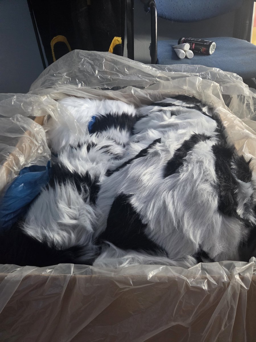 ItsMrMatt04's tweet photo. Sooo today I unboxed my first fursuit 😳 https://t.co/b8dmVGMBNK