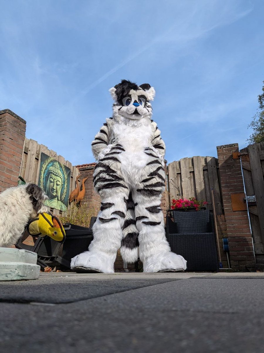 ItsMrMatt04's tweet photo. Sooo today I unboxed my first fursuit 😳 https://t.co/b8dmVGMBNK