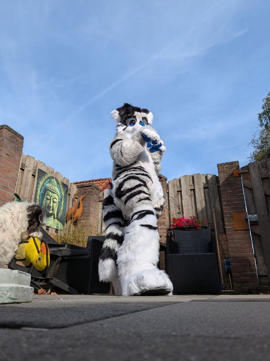 ItsMrMatt04's tweet photo. Sooo today I unboxed my first fursuit 😳 https://t.co/b8dmVGMBNK