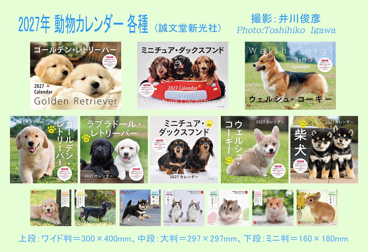 Toshihiko_Igawa's tweet photo. ■2027動物カレンダー発売中
秋の長雨にはウンザリですね…。秋といえばもう来年のカレンダーの発売時期！ということで、犬🐶・こねこ🐱・うさぎ🐰・ハムスター🐹など2027年カレンダー📅各種（誠文堂新光社、写真：井川俊彦＝担当は15種類）が9/25に発売になりました。ご購入者様に抽選で1000円分の図書カードや1万円分Amazonギフトカードプレゼント企画あり（応募は中面掲載のQRコードから）。よろしくお願いします！　今回もカレンダーにはたくさんのかわいいモデルさんが登場しています！　撮影ご依頼いただいた皆様、ご協力いただいた皆様、ありがとうございました！