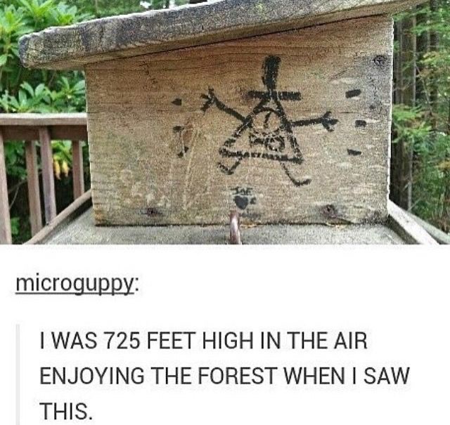 CipherIRLfeats's tweet photo. Up above, where the trees grow
Bill is watching you down below
One eye opened wide
Ready to enter your mind https://t.co/5InWgw171b