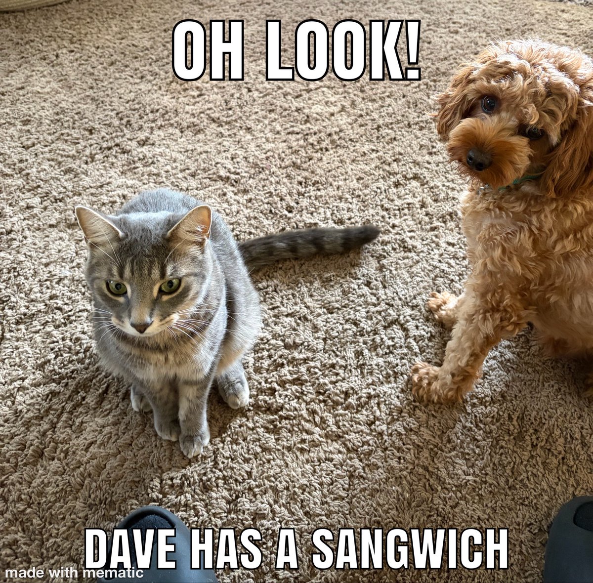 DaveIanni's tweet photo. Every. Dam. Time https://t.co/yl0rXW3w7d