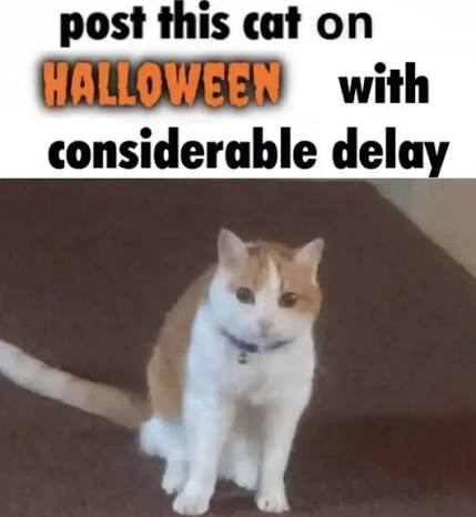 IwillProbDie's tweet photo. I'm spooky now, I will probably spook or something https://t.co/Am4NFRFJKC