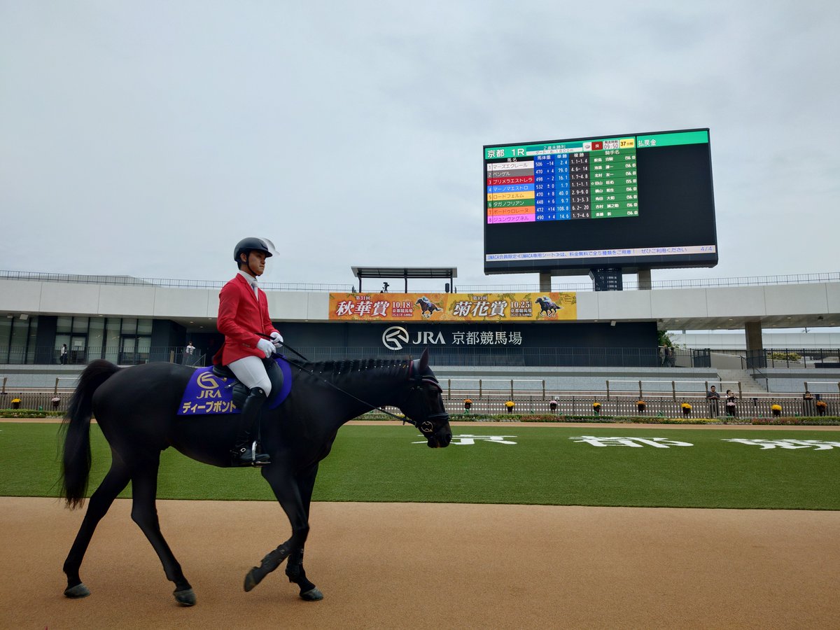 Lord_KQ's tweet photo. おはようございます🏇 https://t.co/VXJGQTyoiT