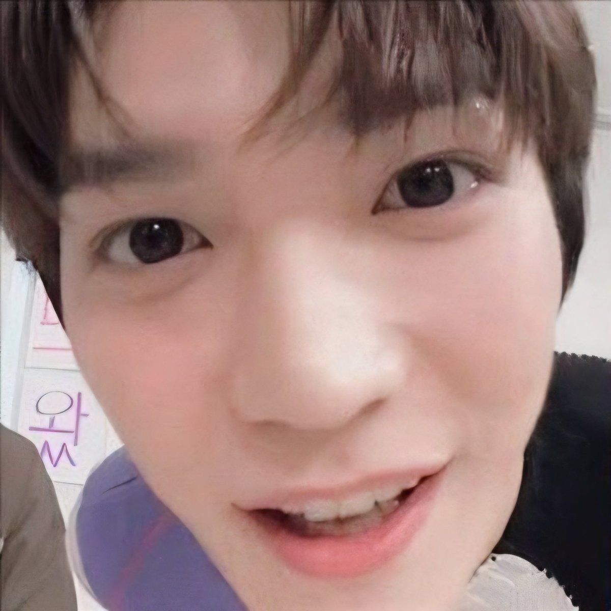 taeoxo_701's tweet photo. 툥뭉이 펫캠 https://t.co/oJWmQTu5k5