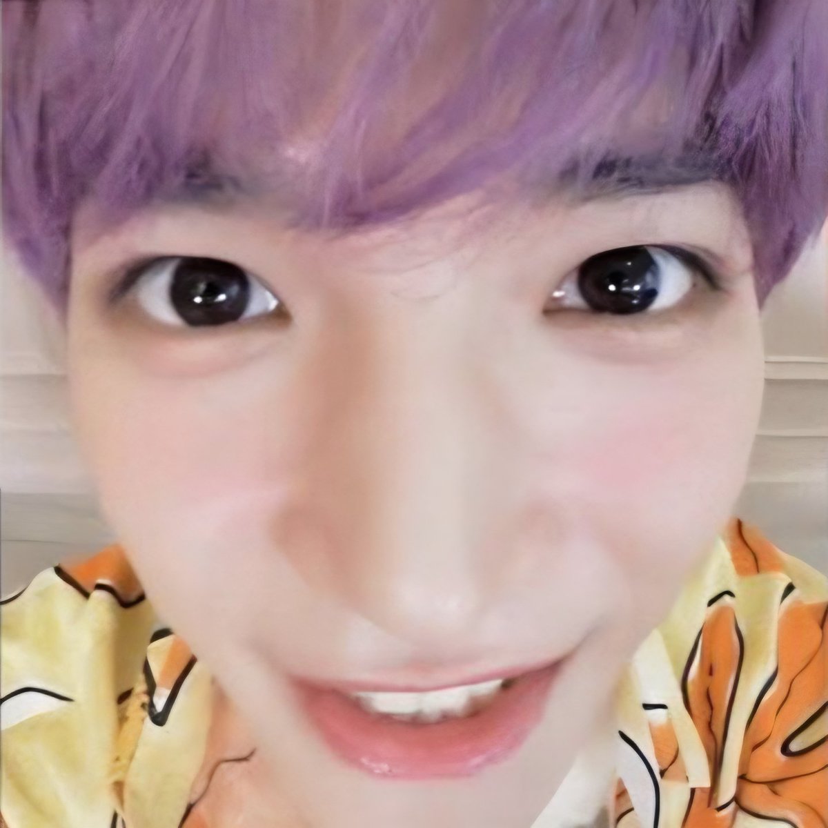 taeoxo_701's tweet photo. 툥뭉이 펫캠 https://t.co/oJWmQTu5k5