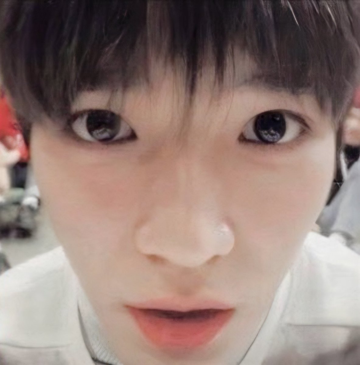 taeoxo_701's tweet photo. 툥뭉이 펫캠 https://t.co/oJWmQTu5k5
