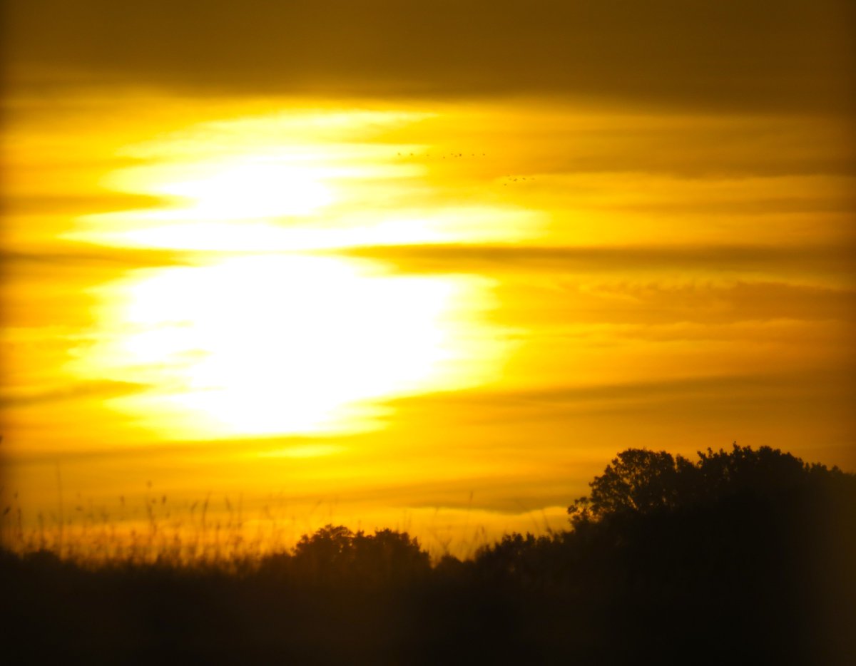MatthewShute's tweet photo. Searing solar shafts split shifting skylines, shattering shadows...
#SundayYellow
🪾 🤍 ☀️ 🧡 https://t.co/uquQWDfQDz