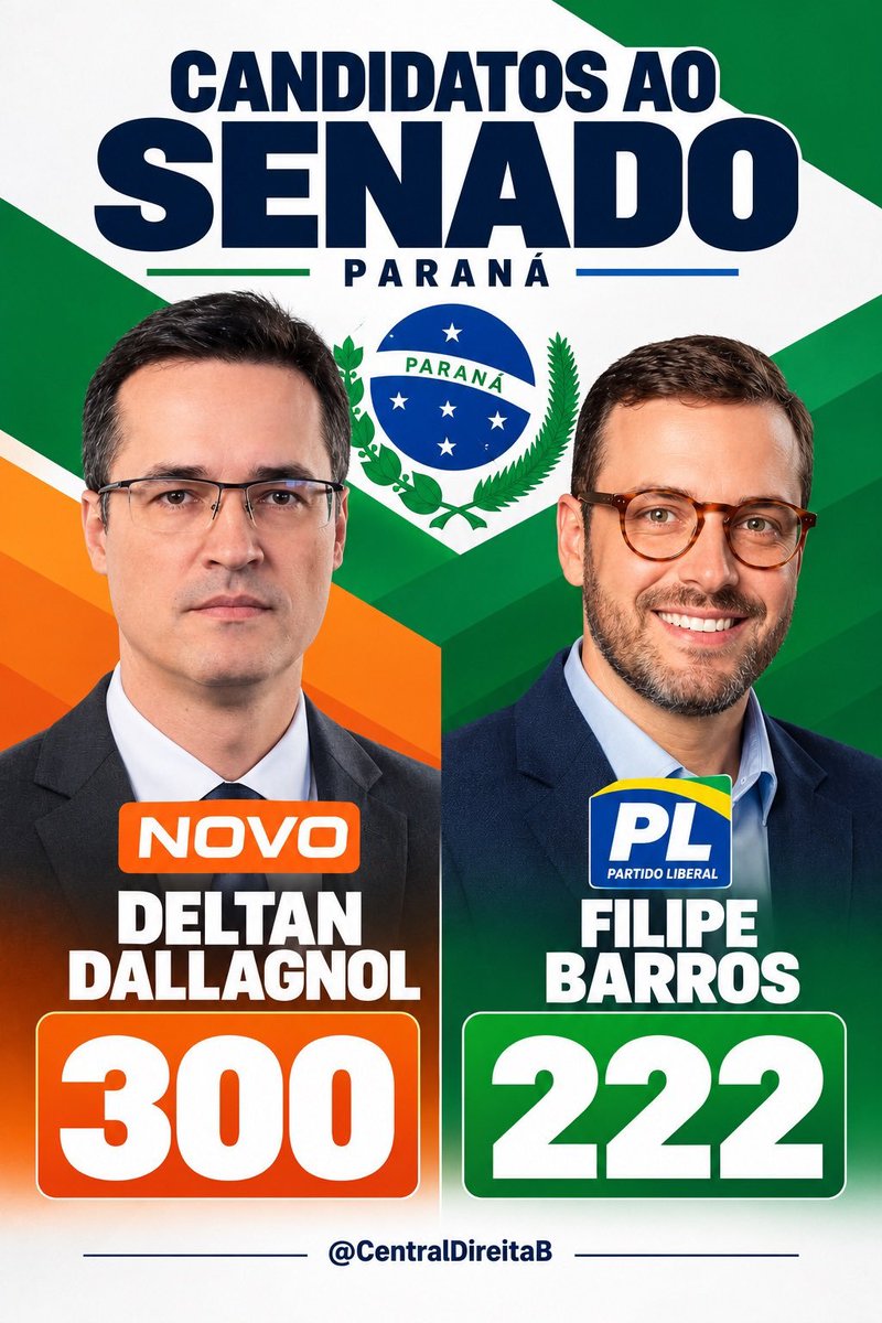 PauloHammer's tweet photo. DELTAN CONTINUA 🗽⭐️🏆🇧🇷, 
Senador @deltanmd #Brasil #Brazil 

BORA VOTAR 300 no PARANÁ
#Eleições #Eleições2026 #Democracia https://t.co/TmD7DK7vbn