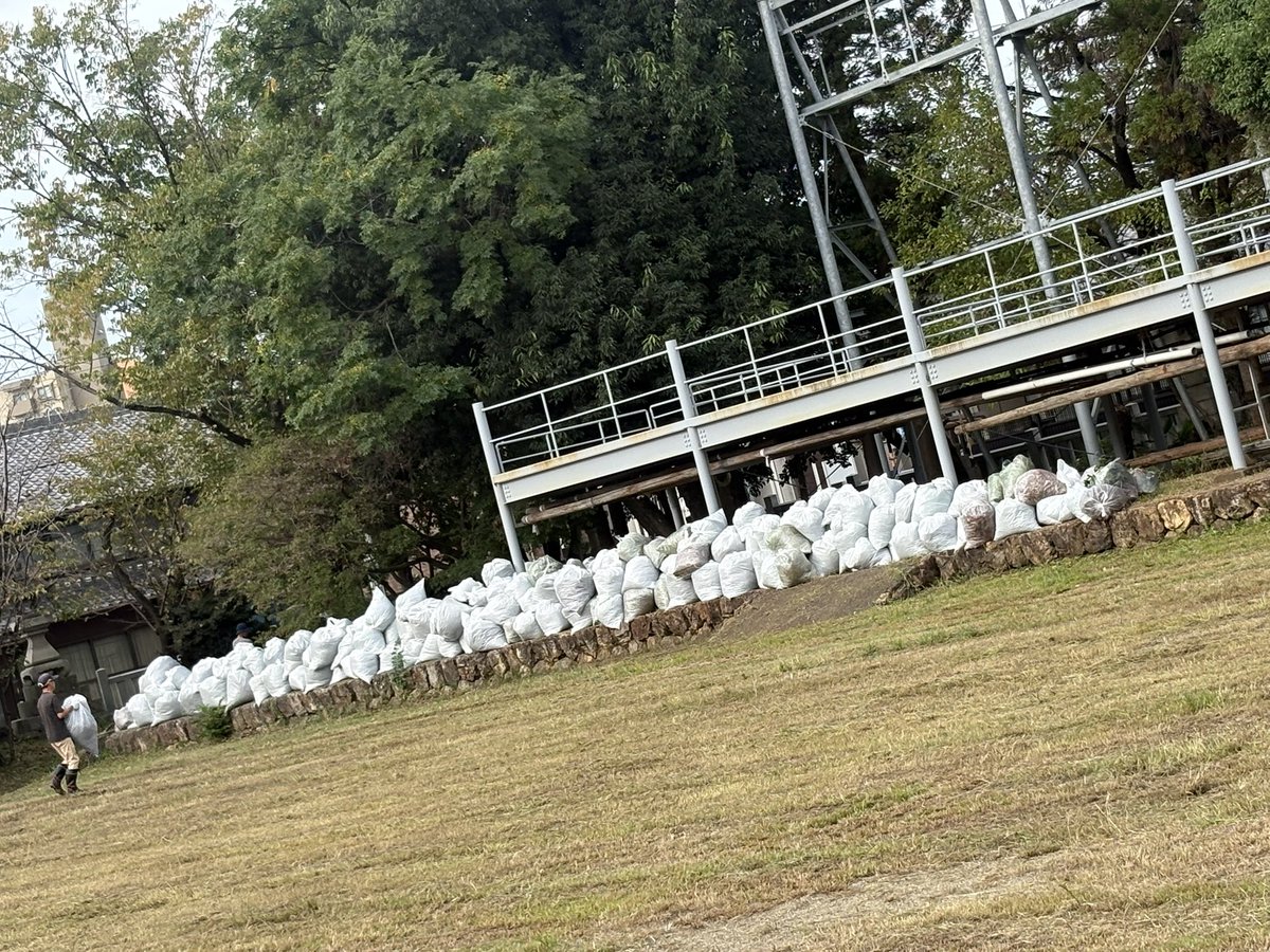 hiroyasu808's tweet photo. いつもの神社
いつも感謝
草むしりしてると出てくるよね、バッタ🦗 https://t.co/8FjpopUJK7
