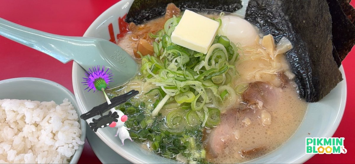 ali_aki77's tweet photo. 朝散歩からの山岡家🍜
しばらく咳がひどくて外食控えてたので何だか久しぶり
8月がサービス券増量だったのでね、貯まってた13枚放出してプレ塩🤭＋のり･バター･半ライス
アプリクーポンの薬味ネギ･メンマ
超満足！ごちでした😋
#ピクミンラーメン部 #PikminAR https://t.co/RiOtbCMw7a