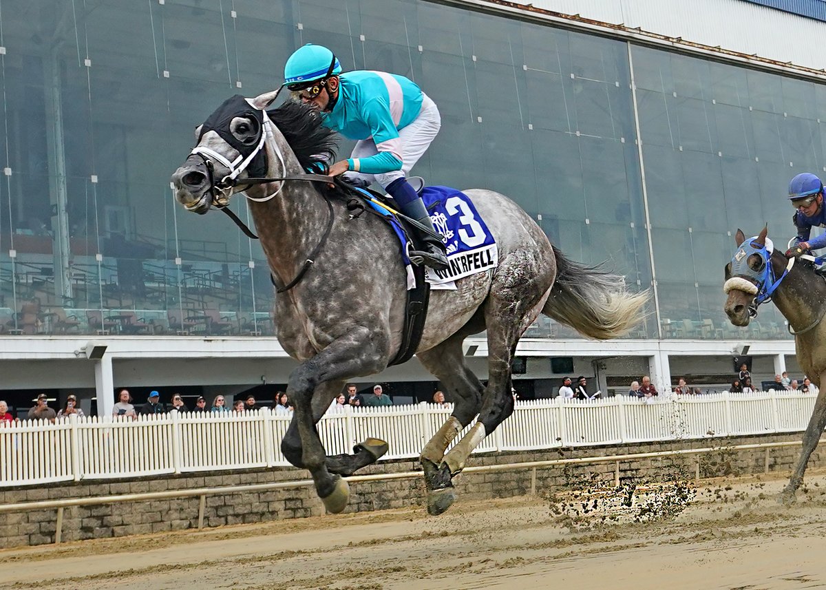 LaurelPark's tweet photo. 👉 Winterfell Remains Perfect at Laurel

👉 Anna’s Promise wires them in Twixt Stakes

👉 https://t.co/UExvSIsDU0 https://t.co/4ANqeRwsni