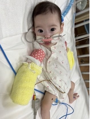 c_kingendai's tweet photo. 鹿児島大学卒業生のお嬢さんが難病と闘っています。

このポストが目に留まった方は、是非添付の文章を読まれてください。

支援のクラウドファンディングがあります。
https://t.co/RN7nAICjn3 https://t.co/9EwuyHXtNk