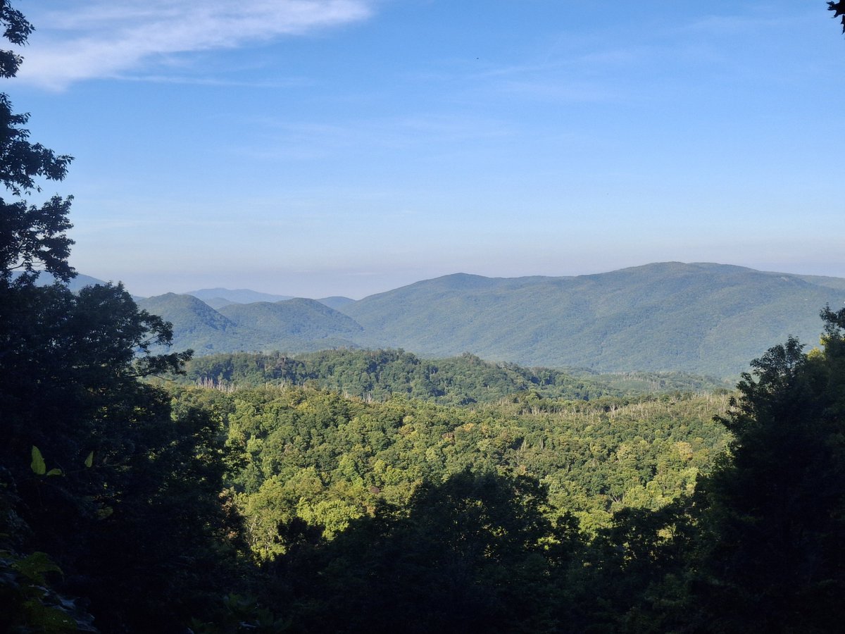 MottledCreation's tweet photo. It's my last night in the Smokies. https://t.co/z1JyzO8pII