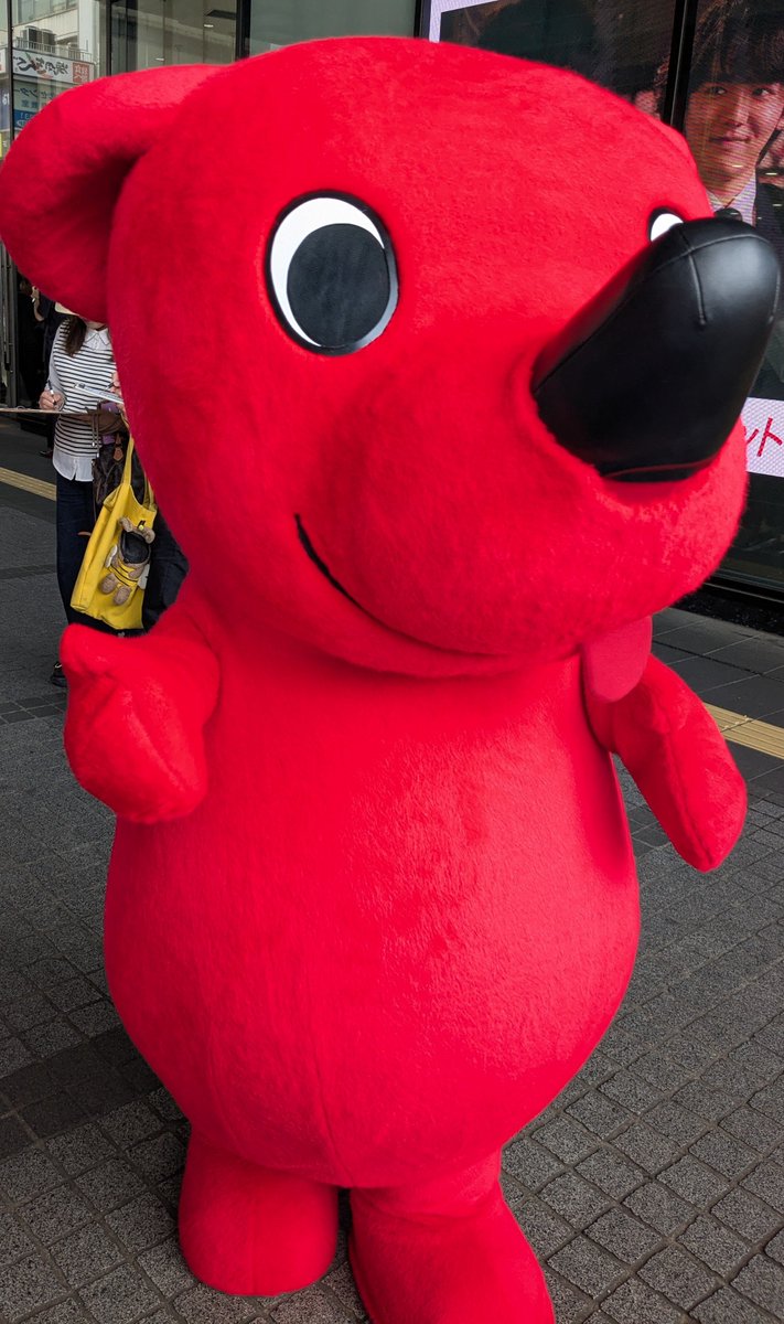 NoOrcaNoLife's tweet photo. 昨日、病院後に駅前に出たらこの子に会えました☺️スタッフの方が一緒に写真撮りますか？と聞いてくれたけど、それはお断りした（可愛いものしか残したくないので、己のことは極力入れていかないスタイル）🤣
握手だけさせてもらって、頑張ってねってめっちゃ言ってきた〜会えて嬉しかったチーバくん😆 https://t.co/xteZXdXdtP