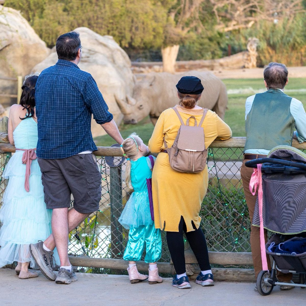 FresnoZoo's tweet photo. Looking for some family fun this Halloween season? Join us for ZooBoo! Dress up in your best costume, trick-or-treat across the Zoo &amp; more! Get tickets at https://t.co/unJY12kWl1

Thank you to our sponsors @Swinerton, United Local Credit Union, and Collins Electrical Company Inc. https://t.co/aqoXDgFOPK