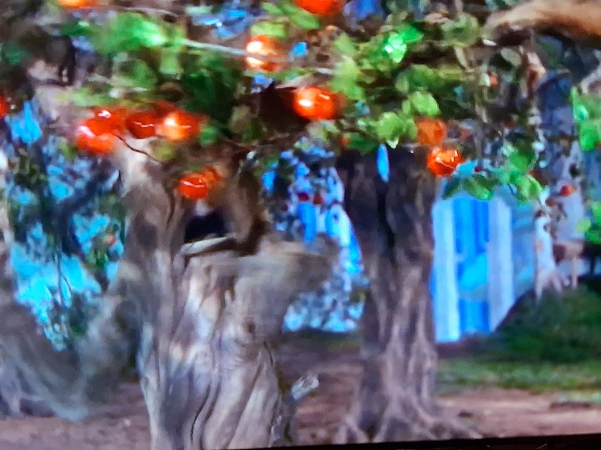 ChrisCartagena8's tweet photo. These talking and moving trees creeped the HELL out of me as a kid! Great practical effects btw! #Creepy #Trees #PracticalEffects #Svengoolie #TheWizardOfOz #Halloween #Boonanza https://t.co/iCdReisvam