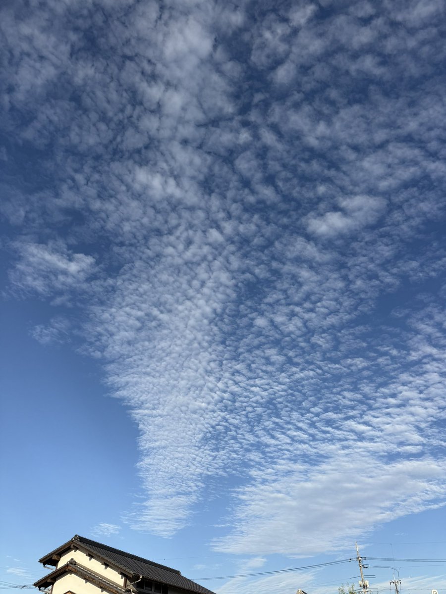 You2_Rider's tweet photo. #イマソラ じゃないけど秋の空☁️ https://t.co/sjbDUy9Vn0