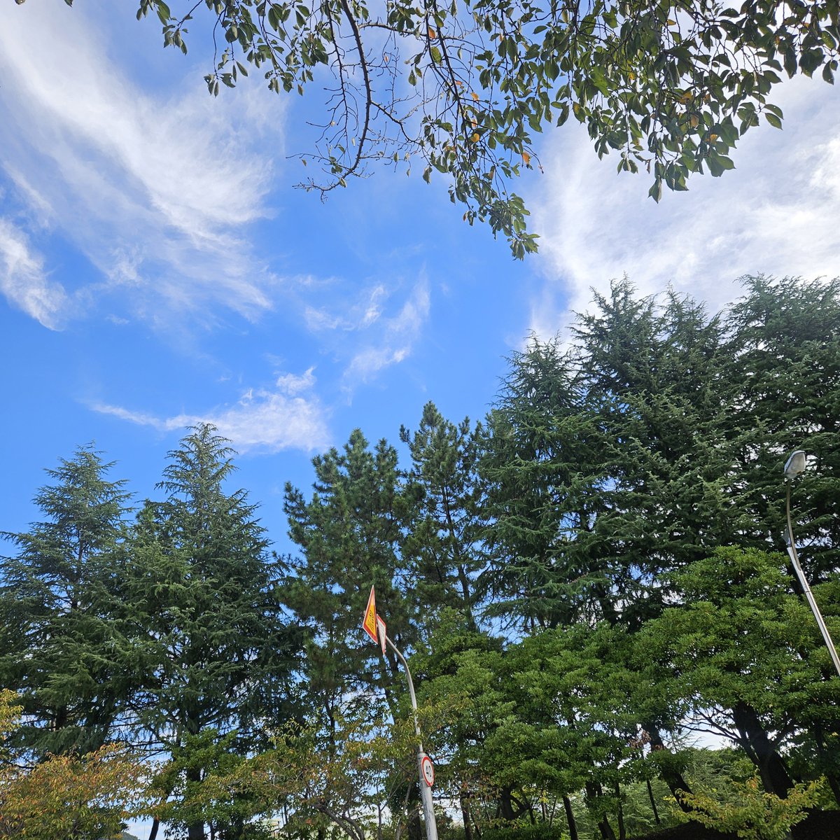 Forget_N1's tweet photo. 출근함 https://t.co/s0KHvmnZVD
