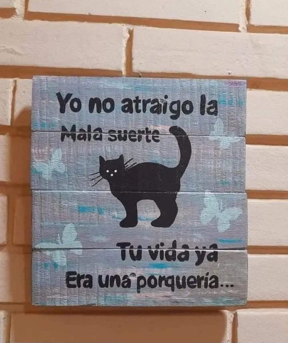 marq31995's tweet photo. Si, porque le echan la culpa al pobre gatito https://t.co/TtyyEDCVoP