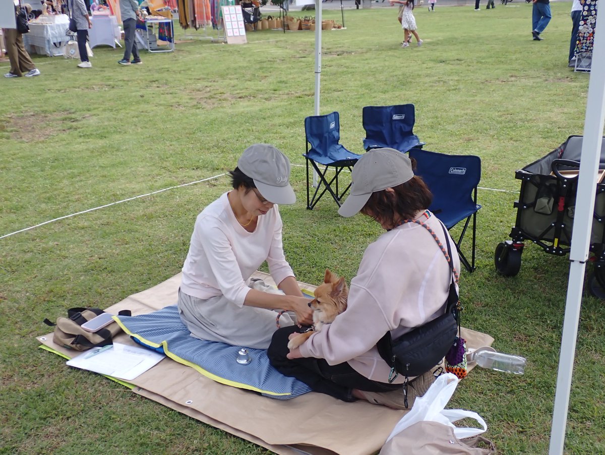 tsujidoukaihinp's tweet photo. 本日10/4(日)　Love Earth Festival　開催
15時迄  

体と心に優しいブースが並びます 

10時～ステージ前で無料で参加できるヨガも  

おいしいごはん、素敵な雑貨の他、クリスタルボウル、レイキ、内臓調整、アニマルコミュニュケーション、リーディング等も ㅤ 

素敵な出会いがありますように！ https://t.co/rLYhnTPlSS