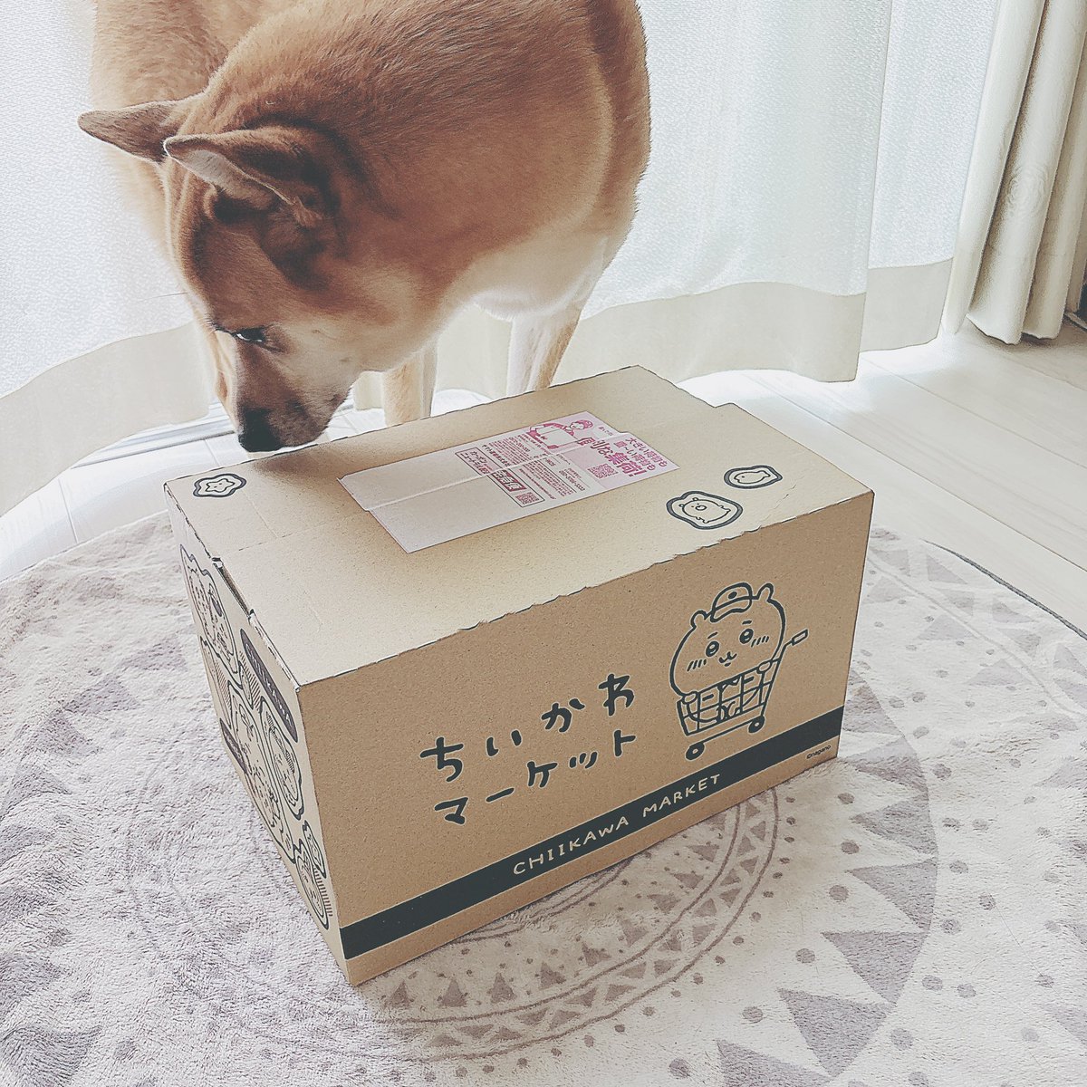tofuaya's tweet photo. ちいかわマーケットから届いた～！
箱可愛い！ https://t.co/llKyMT6xyU