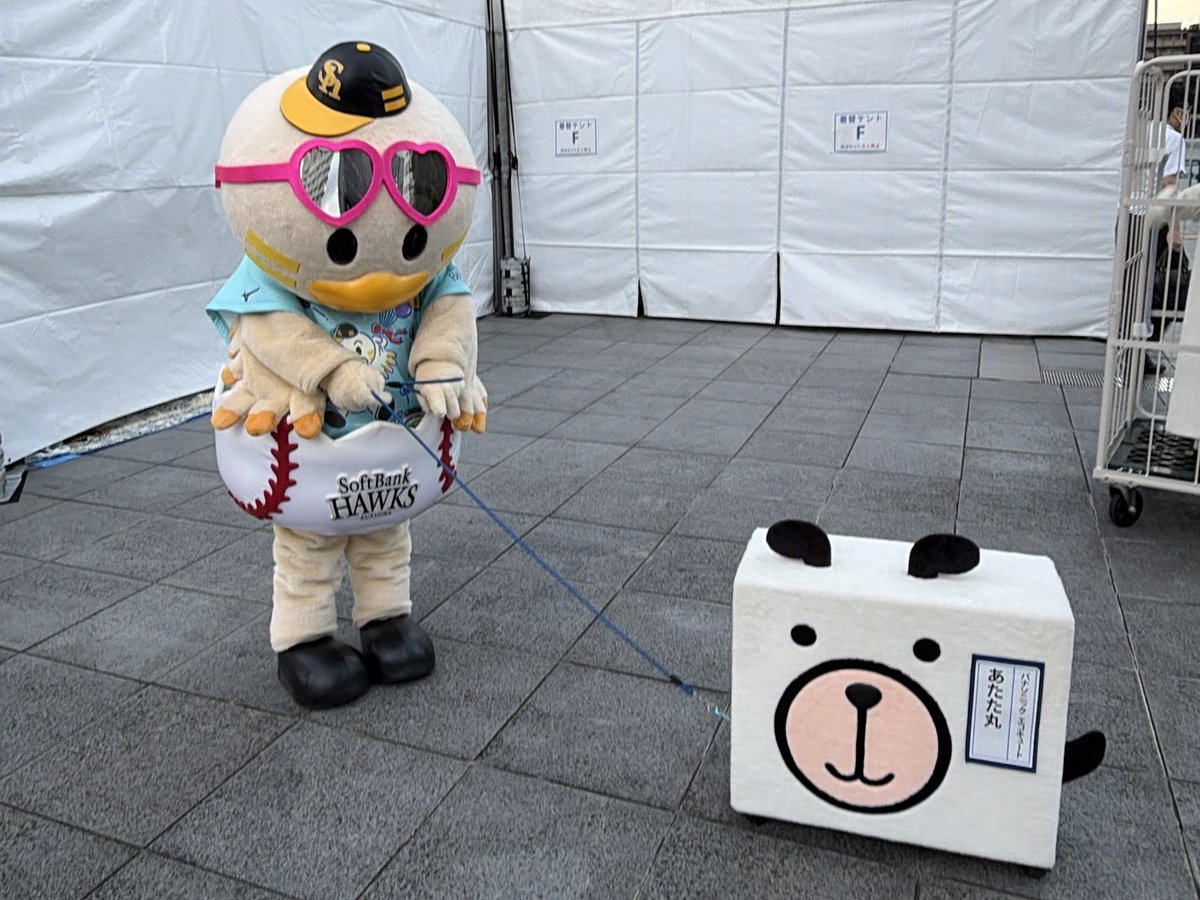 HAWKS_chikugo's tweet photo. おはようございます☀

本日もさいたま新都心 けやきひろばにて、ひな丸PR🐣📣

現地でコイン投票(1コイン3p)は本日13時まで‼️
関東のホークスファンの皆さん！
来てくださーーーい🐣

待っとるけん‼️
#sbhawks #全新 #ひな丸 #ゆるバース https://t.co/aCYAUDosYI