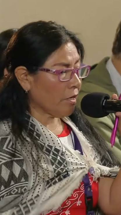 EricBla90829613's tweet photo. Reyna Haydee Ramírez, @rynram, preguntó con
seriedad y profesionalismo a @Claudiashein, “¿como
se blindó su campaña del dinero criminal?”
La PREPOTENTA presidente estalló en una fingida
carcajada y eludió la respuesta.
La pregunta de la periodista está en el aire, doña Clau.
Millones de mexicanos estamos en espera de su
presidencial respuesta.