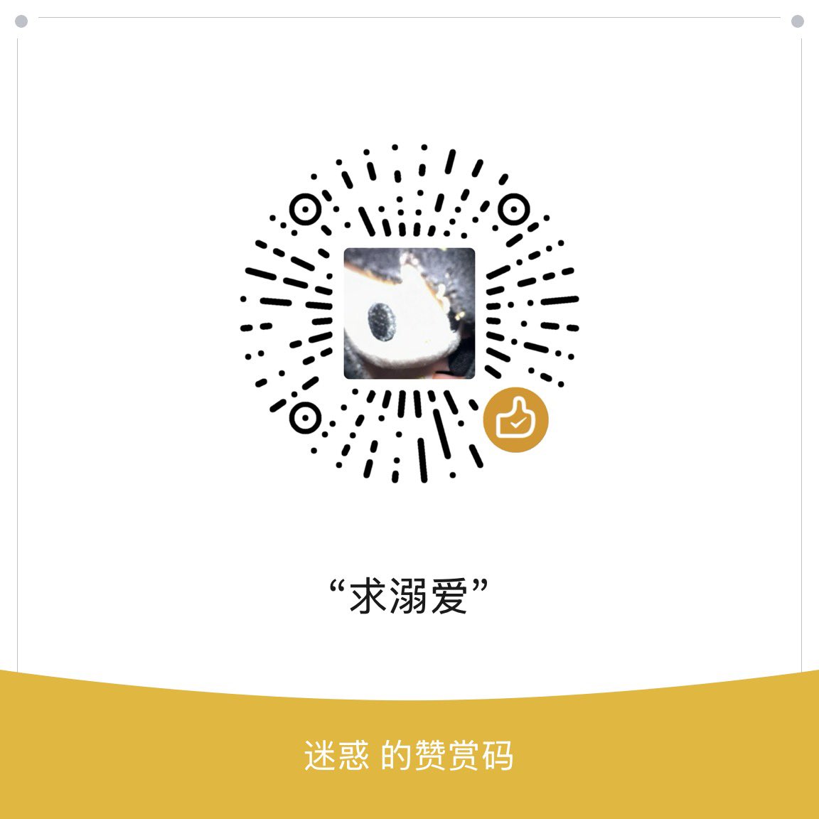 nininililily's tweet photo. 自介条
🚪128/288/520可接线下纯绿（全部纯绿
22年至今未飞升餐卷女
我洗好很多很多钱呀  
喜欢和大家做朋友呀
双相/睡眠障碍/进食障碍
喜欢和大家互动 看到帖子帮忙转转呀
不是口令不会死心喵
爸妈断供 球球各位哥哥们入门 我很好说话的 我什么都可以聊一些呀
药理/化学什么
欢迎宝宝们互fo湖转喵
放个赞赏吗 可以投喂迷惑哟
因为迷惑是一只流浪猫
求喂养