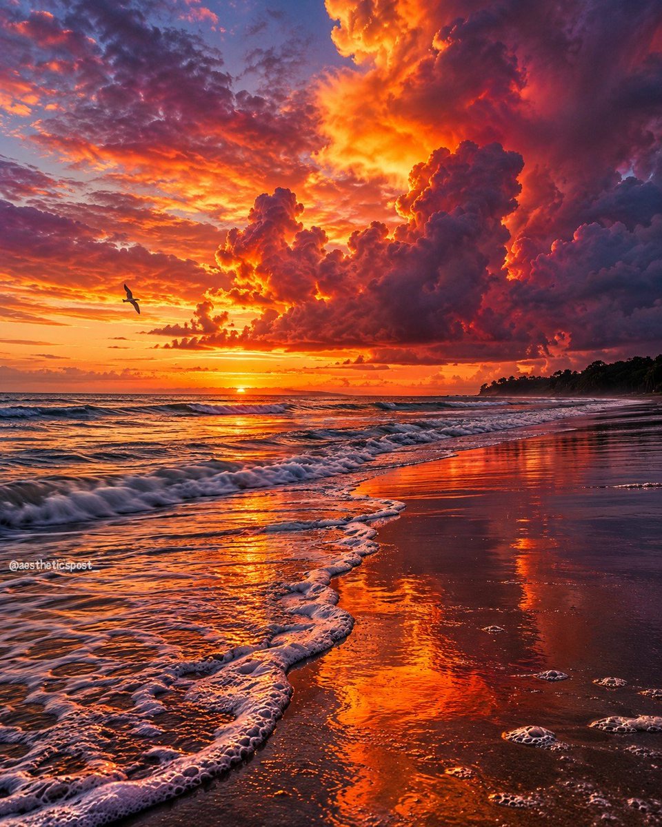 aestheticspost_'s tweet photo. Sunset. https://t.co/gGgKm1spN9
