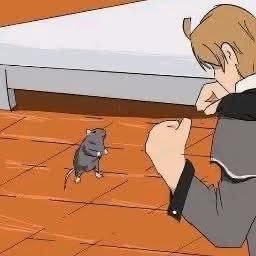 Mikun__n's tweet photo. rat vs rudeus, who win? https://t.co/sB72q43eEk