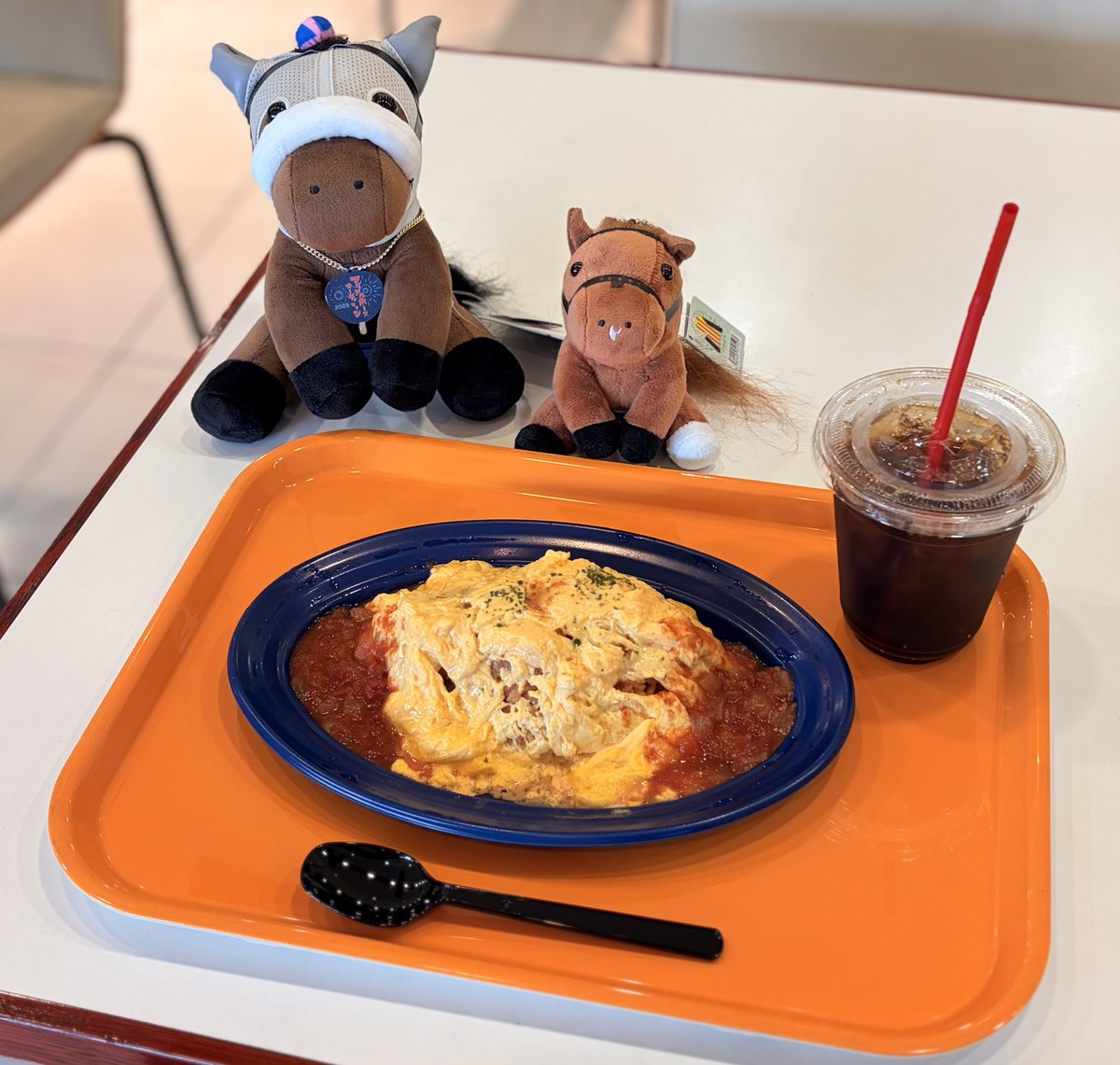 Szhx7's tweet photo. ダッシュした甲斐あってタバルぬい買えた🎶 https://t.co/QnbWewKwHr