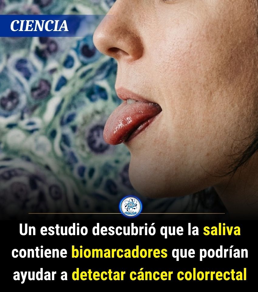 EnsedeCiencia's tweet photo. Los resultados del análisis demostró que el índice de bacterias aumentó notablemente en pacientes con cáncer colorrectal o de estómago. Sin embargo, este aumento no se percibió en pacientes con trastornos metabólicos https://t.co/WOnVNSWPye