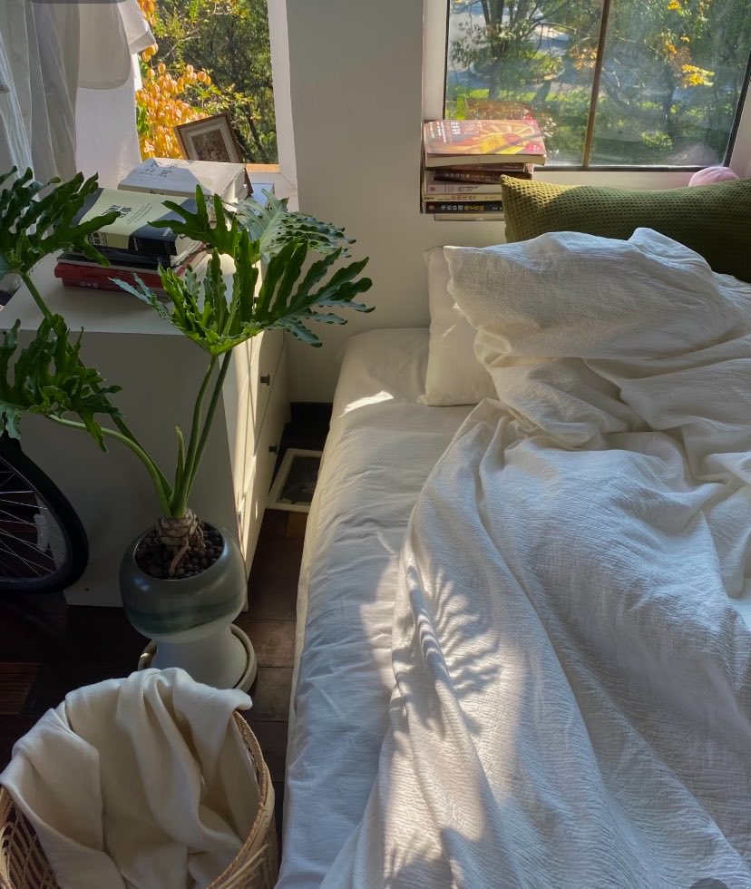 dailycorner98's tweet photo. My Beautifully Messy Home ✨ https://t.co/WcWETIbjxp