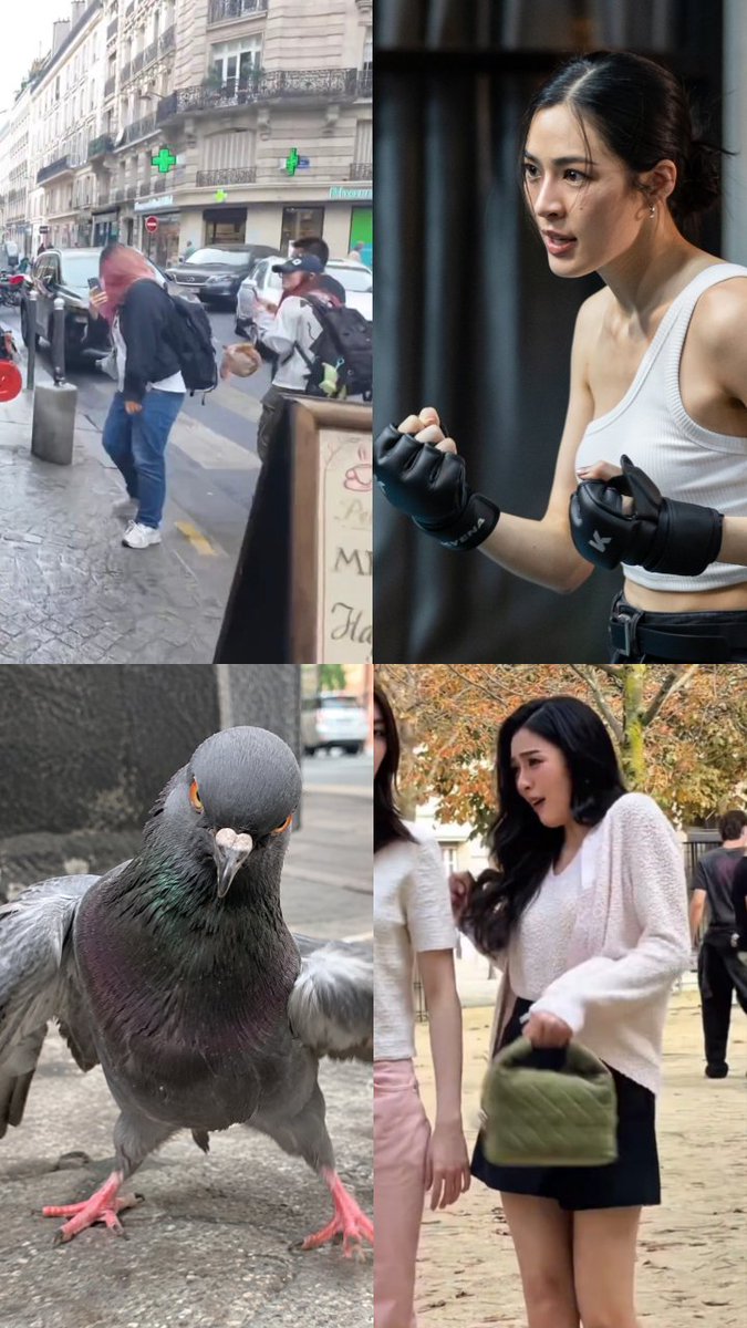 yuyintomatoto's tweet photo. SS 🫷
PIGEON 😱 https://t.co/f3978u4j6w