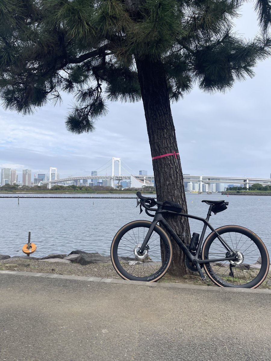 zenchi_allroad's tweet photo. 穏やかです https://t.co/ZvHEy90xj9