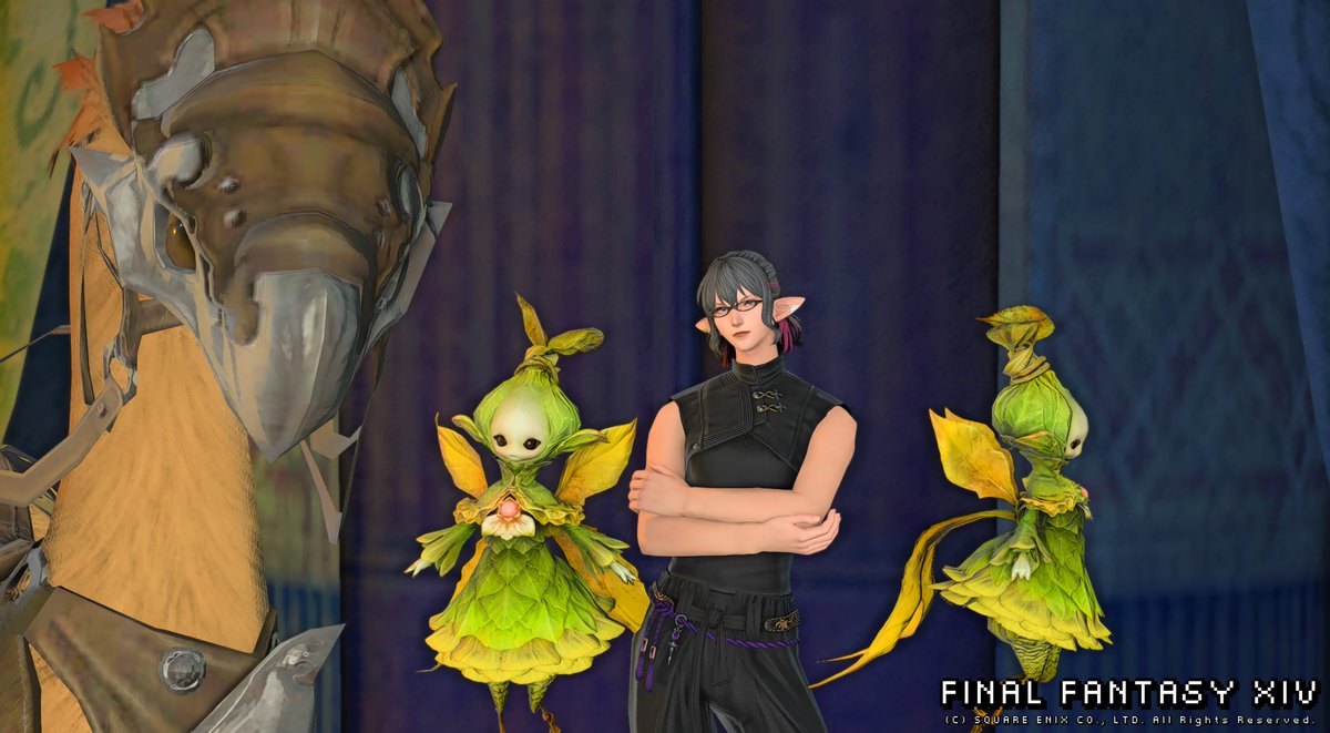 koukouai0230's tweet photo. とりあえずのミラプリ(*'ω'*)
シルフとチョコボと戯れ！

#FF14 #エレメス https://t.co/nXXurB5wH6