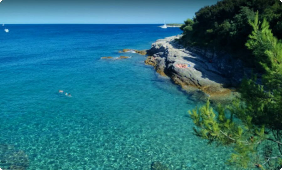 1001beach's tweet photo. Croatia's best beaches: discover Kamenjak's caves, Palmizana's tropical garden, Stiniva's greenish blue water, and Zlatni Rat's shifting triangular shore.

Meet eight coastal wonders and find your next escape in the full article: https://t.co/o3QMwY8887

#Croatia #CroatianBeaches https://t.co/KvnkfAVoJ8