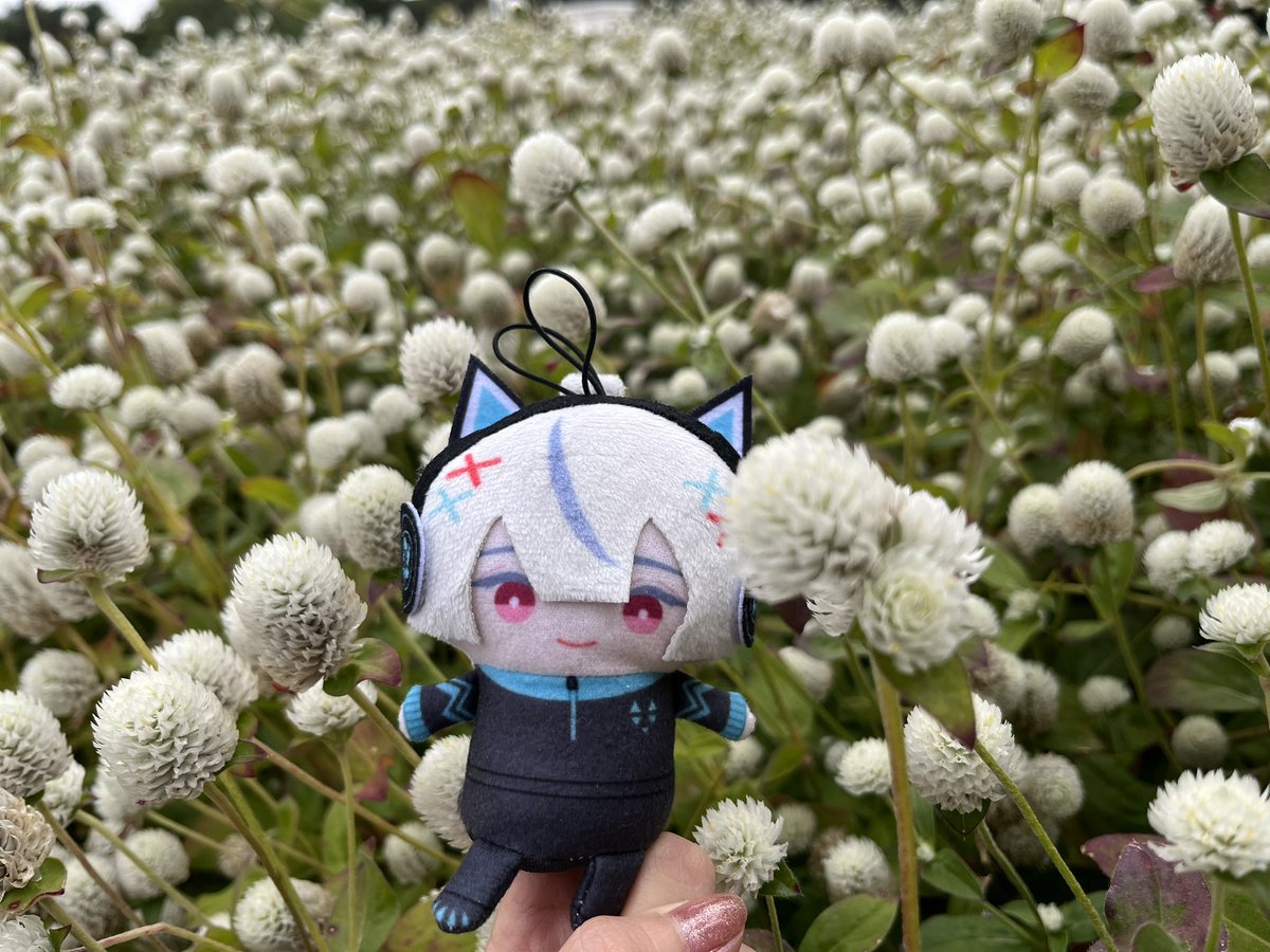 Amyqu2's tweet photo. 带エアル和おげん出门摸草了🌱🌱 https://t.co/V3U1synEyf