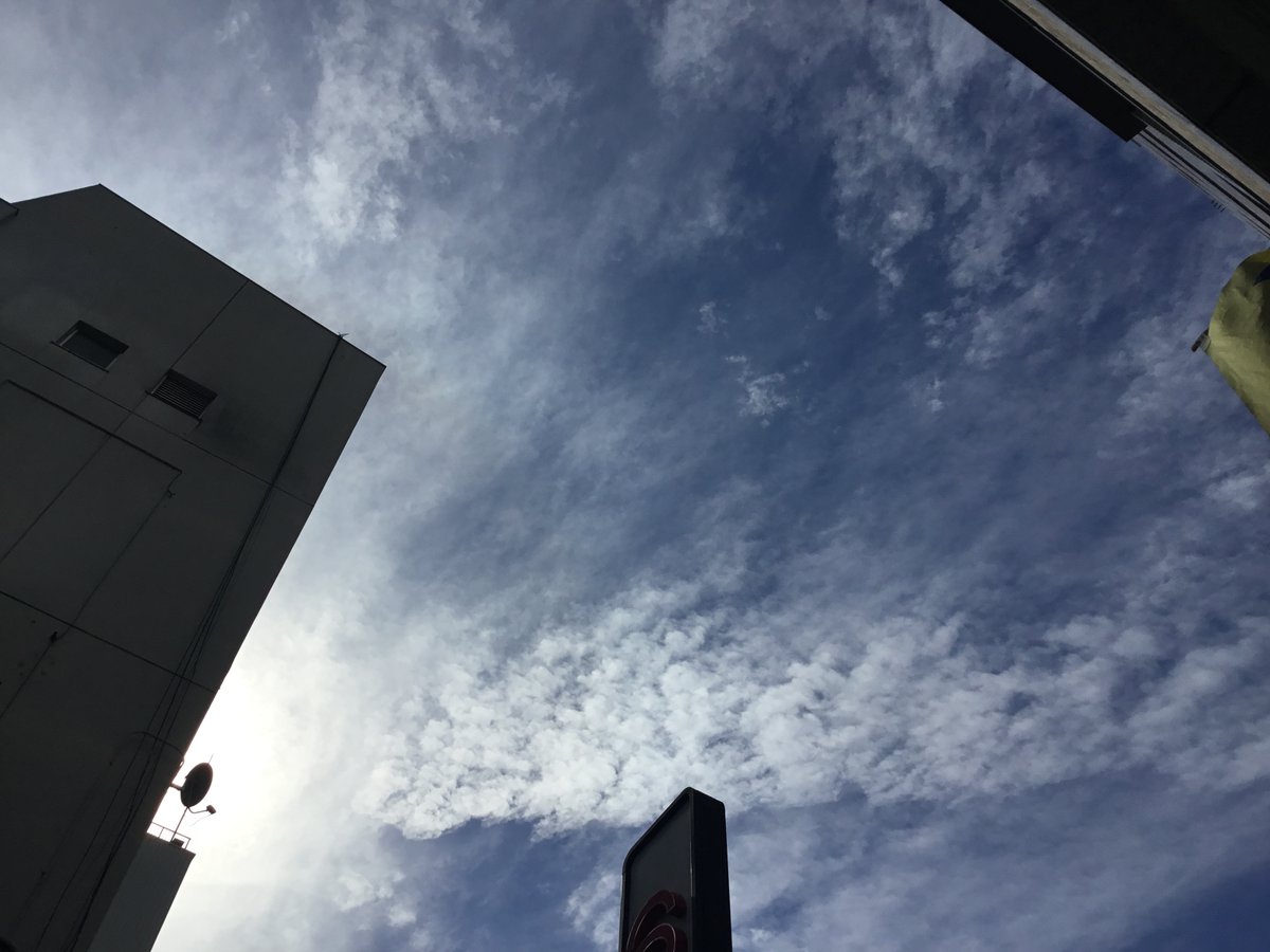 daikokuya2016's tweet photo. おはようございます！
10月に入り雨も降らなくなり、暑さが戻ってきたような気がします！

夜は冷えて日中との寒暖差があるので、体調を崩さないよう気を付けてください！

本日も営業しておりますので、1日よろしくお願いします！
#企業公式相互フォロー #イマソラ https://t.co/KINeLU9jOs